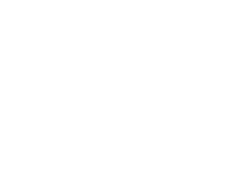 AVUS 44